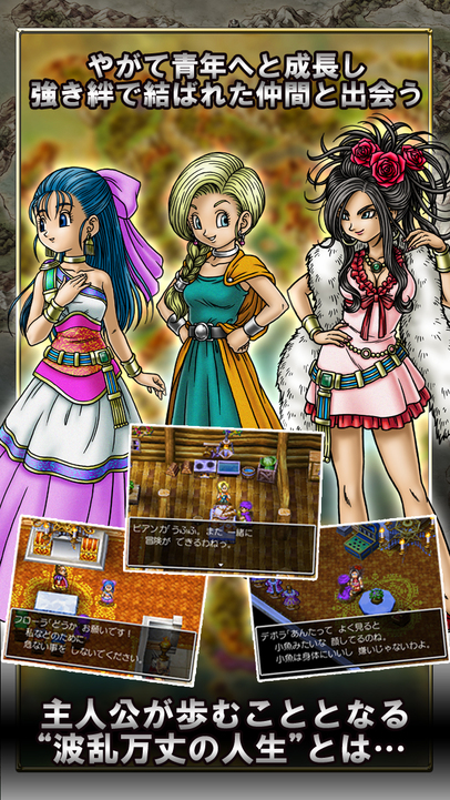 nds勇者斗恶龙5中文版(dragon quest 5) v1.0.1 安卓版2