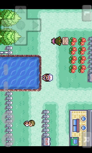 口袋妖怪叶绿版386 完整中文版1