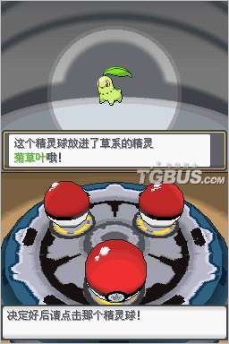 口袋妖怪银灵中文版(Pocket Moster:Soul Silver) 绿色完整版0