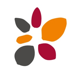 天风证券同花顺新一代专业版