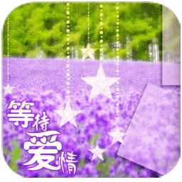 薰衣草等爱情锁屏动态壁纸