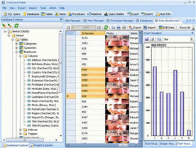Database Master(数据库管理软件) v5.2.51.18513 官方绿色版0