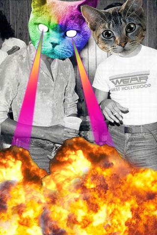 catwang美图软件 v3.2 官方安卓版1