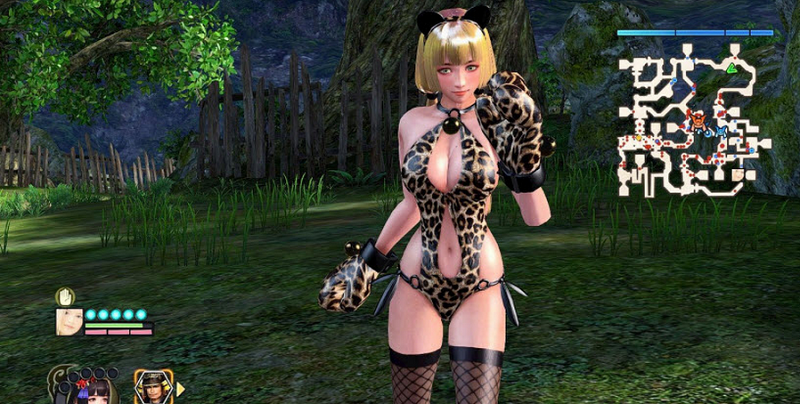 战国无双4-2豹纹女装人物mod 绿色版0