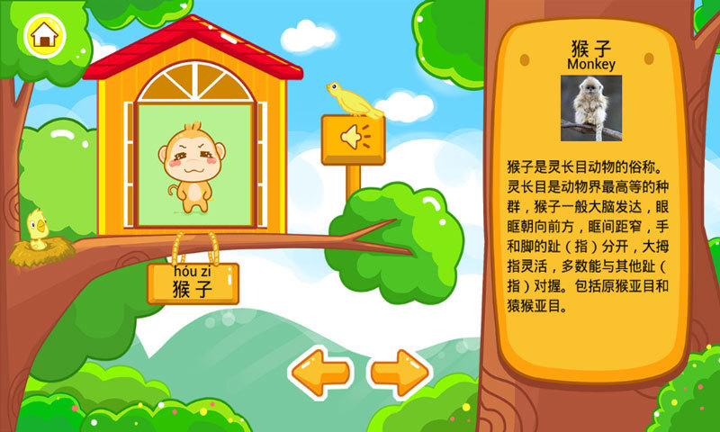 儿童宝宝认动物 v36.13 安卓版0