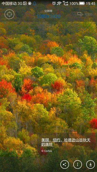 今日必应壁纸 v1.4.0 安卓版0