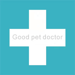 宠物好医生