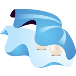 我信我的未来电脑版