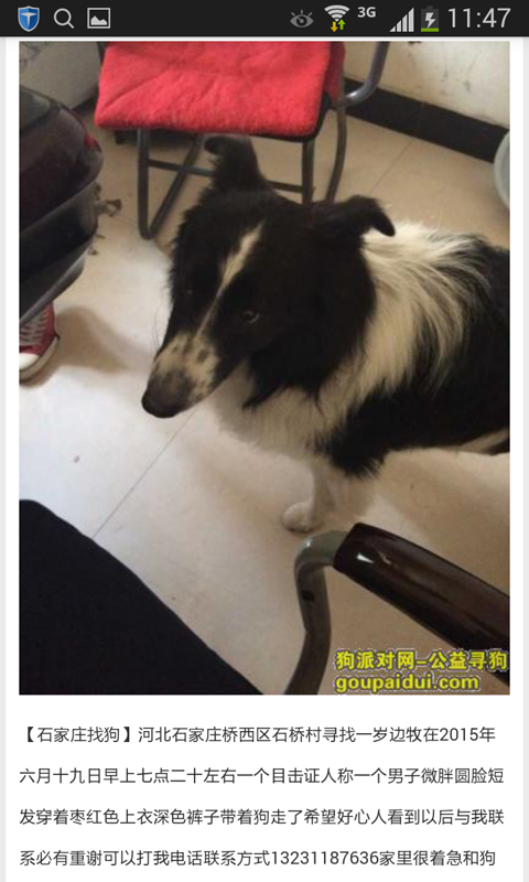 寻狗启示 v0.5 安卓版3