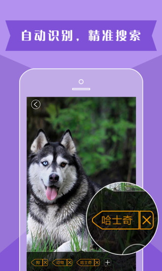 灵犀相册 v1.0.16 安卓版0