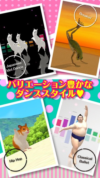 adanza跳舞的羊驼内购完整 v1.1.0 安卓版2