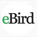 eBird(全球鸟类分布)