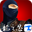 龙之忍者3d游戏