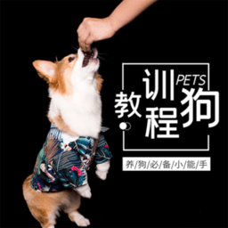 训狗教程免费下载