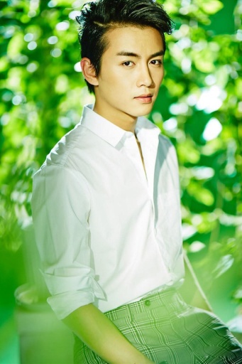 人气帅哥陈晓动态壁纸 v8.15.1 安卓版0