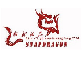 狂龙文件捕捉工具