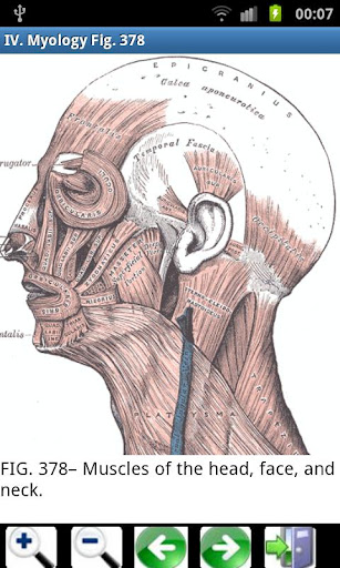 3d虚拟人体解剖(Visual Anatomy) v4.1 安卓已付费完整版3
