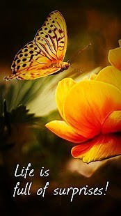 FX照片编辑器(PicsPlay) V3.6 安卓版0