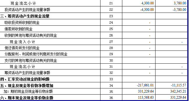 现金流量表自动生成模板 excel带公式版0