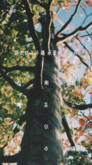 纹字锁屏app v8.1.1 安卓最新版2