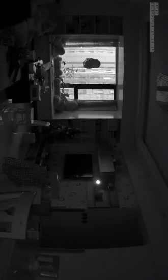 华迈千里眼电脑版 v2.9.3.3182 官方版2