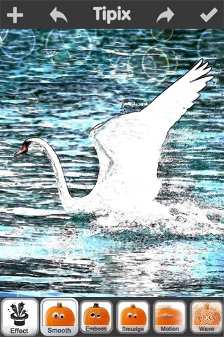 tipix手机app v2.6.6 安卓版3