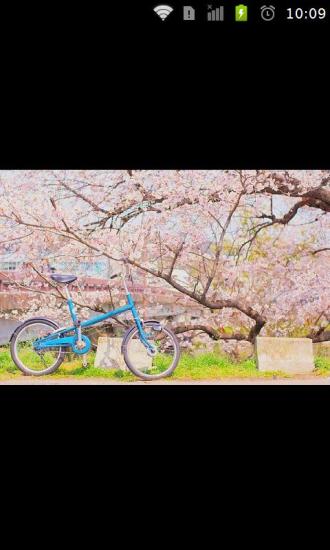 nice最美图片 V1.18 安卓版1