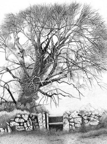 画铅笔素描手机版(Pencil Sketch Drawing) v1.0 安卓版2