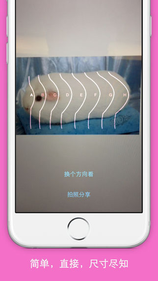 罩杯侦探iPhone版 v1.2 苹果手机版1
