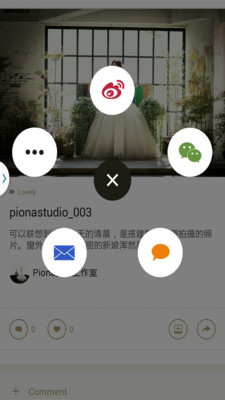 Wings婚纱摄影 v1.0.3 安卓版1