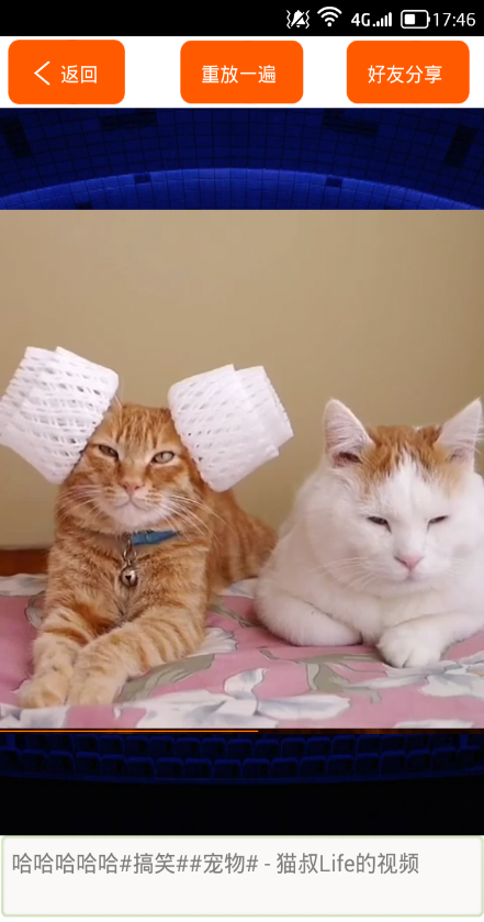 我来拍大片手机软件(视频mv制作) v6.1 安卓版1