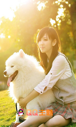 QQ主题管家积分修改版 v9.1 安卓版2