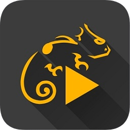 蜥蜴音乐播放器(Stellio)