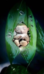 捉妖记胡巴动态壁纸 v1.0 安卓版0