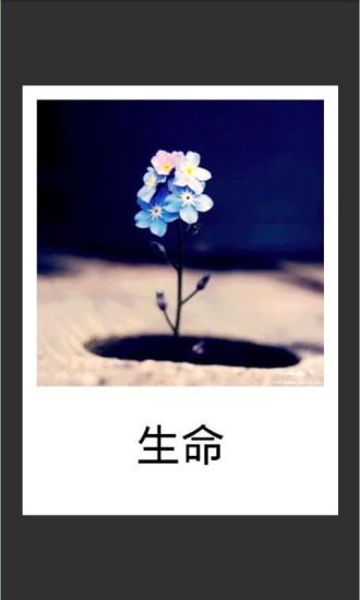 美图配文字 v3.0 安卓版3