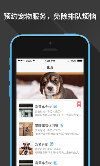 坚果宠物 v1.0.1 官网安卓版0