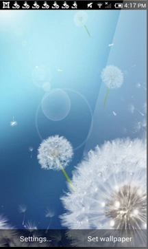 恋上蒲公英 v1.2.1 安卓版1