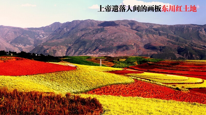 杰兔画报 v1.1.6.1312 安卓版3