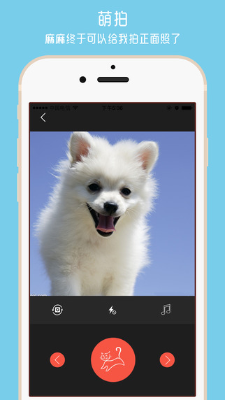 养宠无忧 v1.4.0 安卓版0
