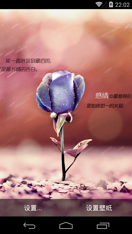 执子手等花开(唯美壁纸) v1.2.2 安卓版2
