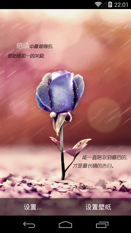 执子手等花开(唯美壁纸) v1.2.2 安卓版3