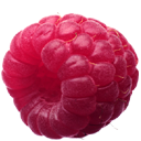 荔枝微博相册下载助手