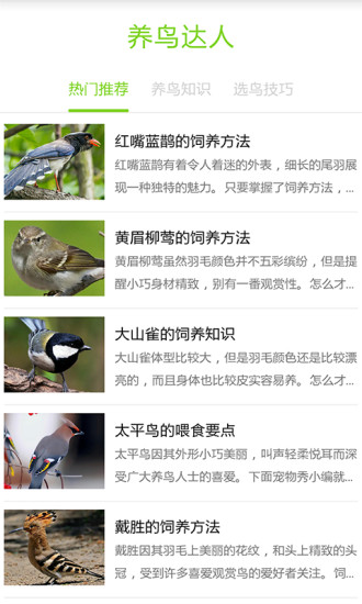 养鸟达人 v1.0 安卓版0