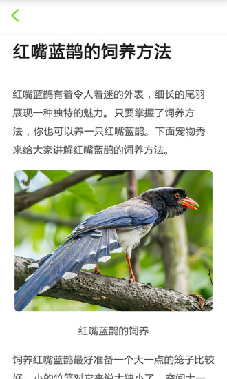养鸟达人 v1.0 安卓版1