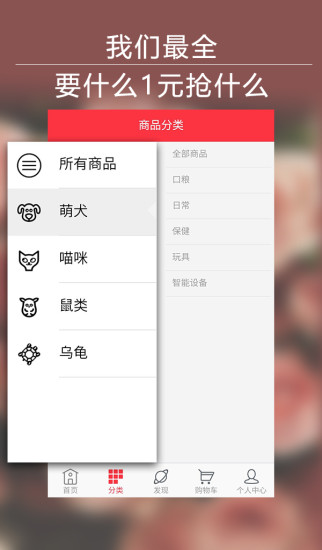 宠物抢宝 v1.0 安卓版0