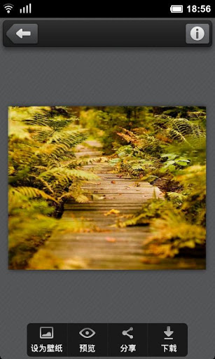 百度壁纸app v2.4.4 安卓版2