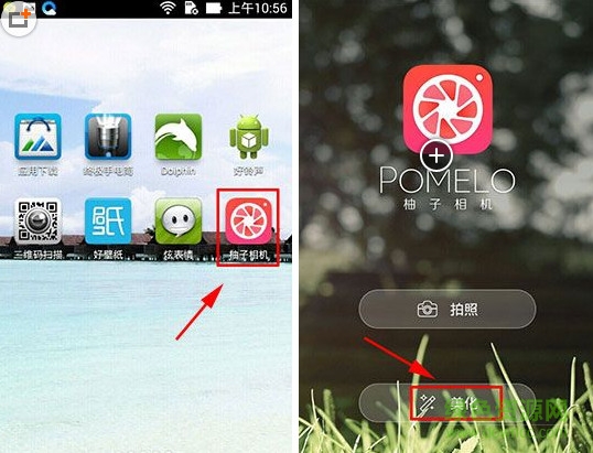 pomelo相机 pomelo相机