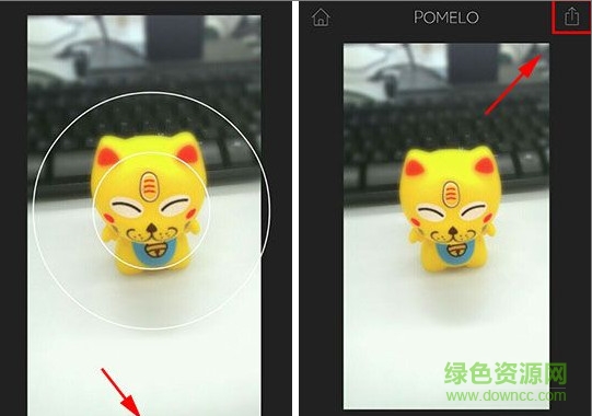 pomelo相机 pomelo相机