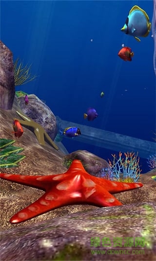 神秘海底动态壁纸 v4.1.0 安卓版0