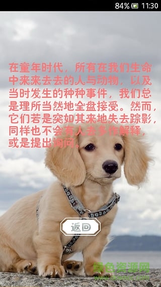 萌宠动态壁纸 v1.1.0 安卓版1